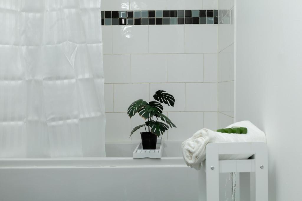 Spacious City Centre 2 Bedroom Apartment - Lt Apartment Leicester Bagian luar foto